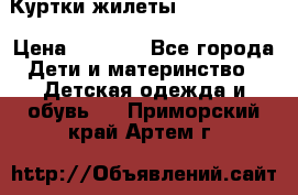 Куртки.жилеты.  Pepe jans › Цена ­ 3 000 - Все города Дети и материнство » Детская одежда и обувь   . Приморский край,Артем г.